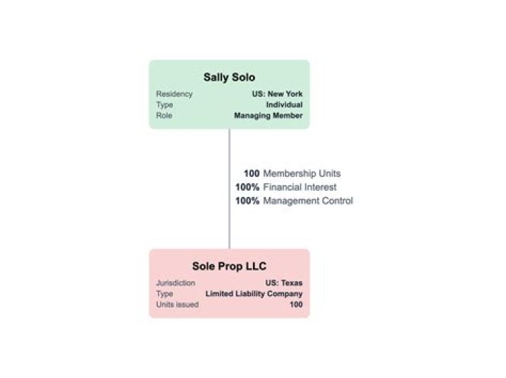 Can a LLC be considered an employee of the company?