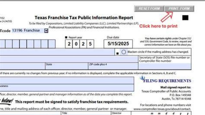 Can a LLC file franchise tax?