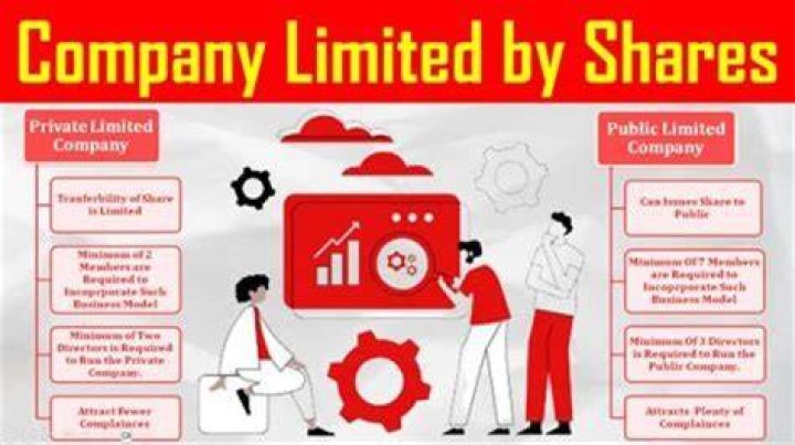 Can a LLC issue shares in a business?