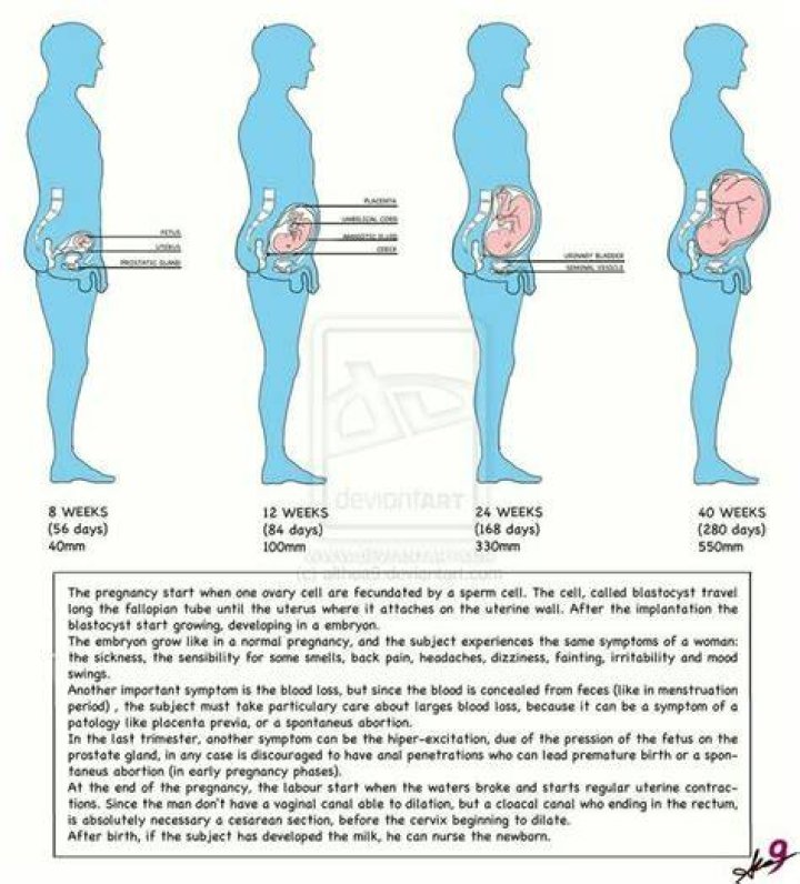 Can a male omega get pregnant?