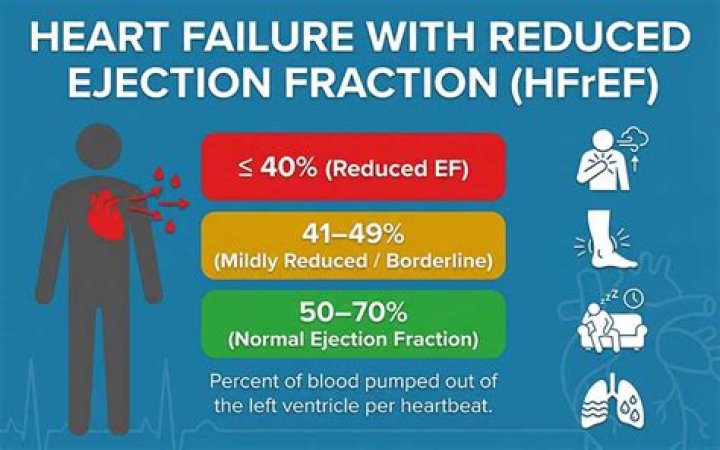 Can a person live with 20 percent heart function?