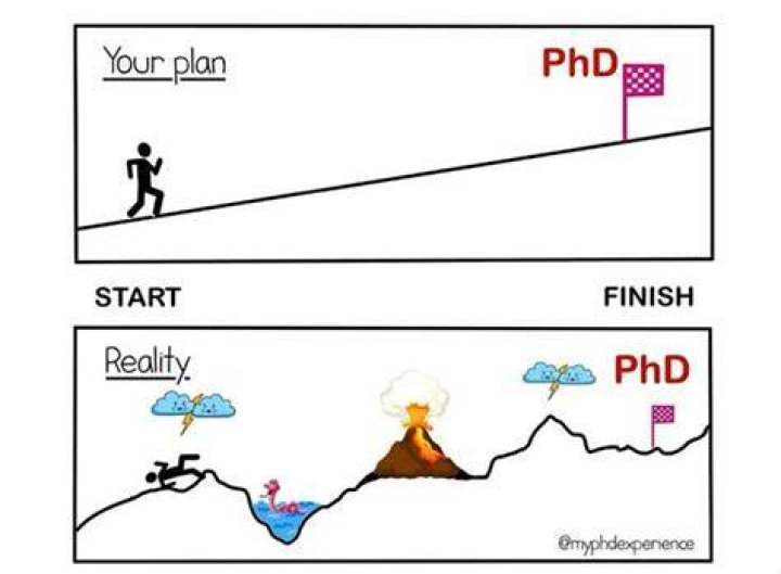 Can a PhD be fun?