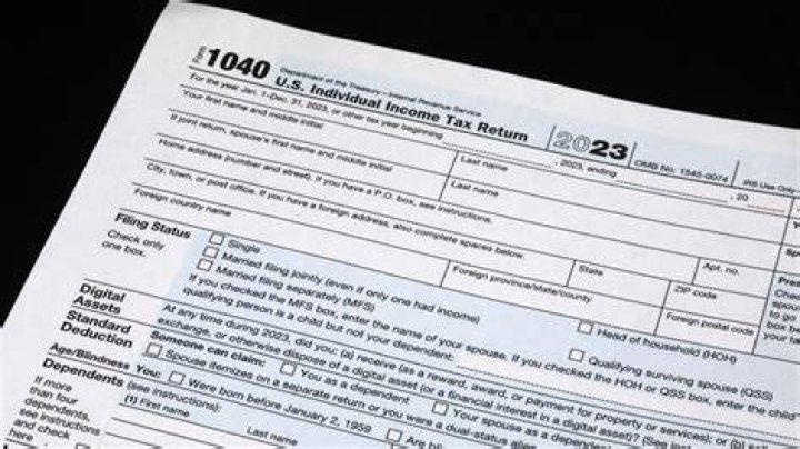 Can a registered domestic partner file a federal tax return?