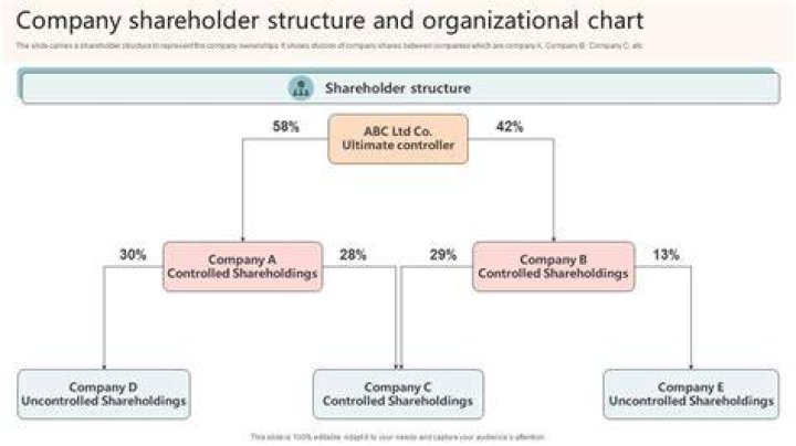 Can a shareholder wind up a company?