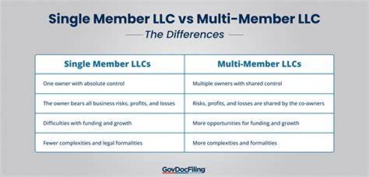 Can a single member LLC be a business?
