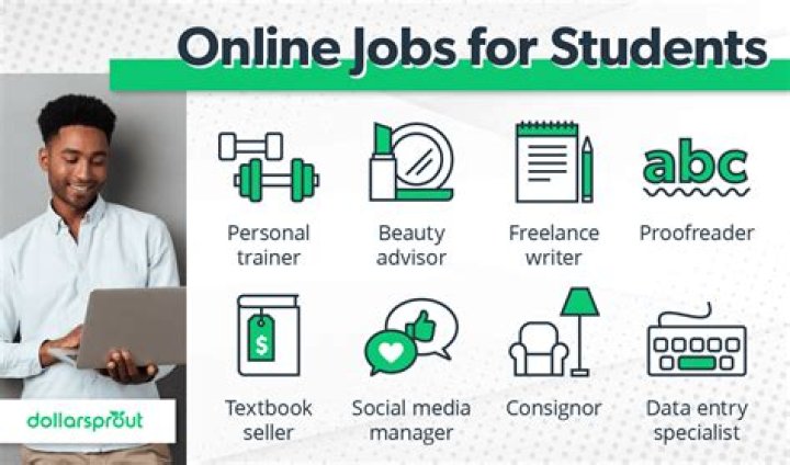 Can a student do online job?