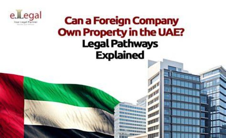 Can a US citizen own a foreign company?