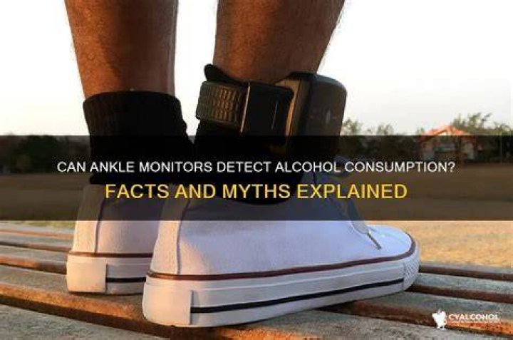 Can an ankle monitor detect one beer?