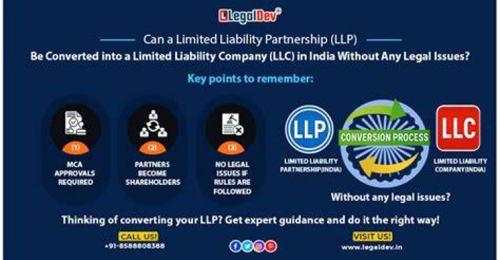 Can an LLC enter into a partnership?