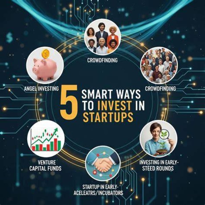 Can an LLC invest in startups?