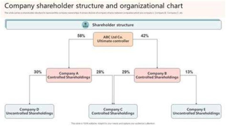 Can an S Corp have 1 shareholder?