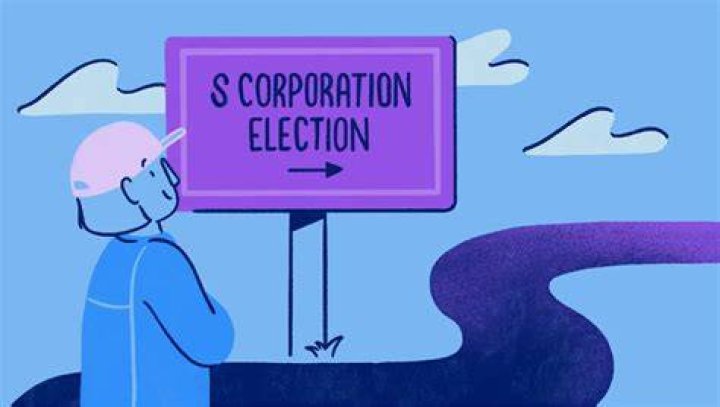 Can an S Corp make a 338 election?