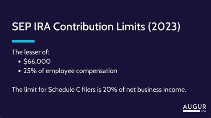 Can an S Corp owner contribute to a SEP IRA?