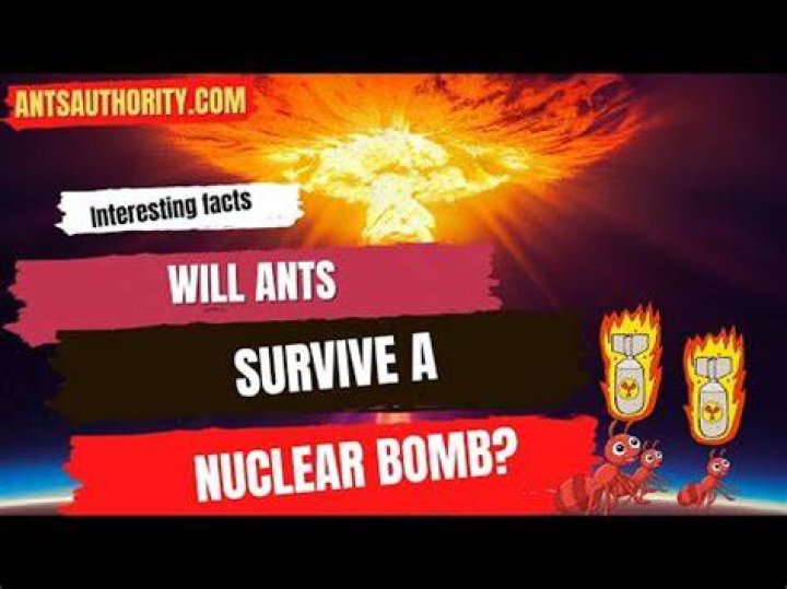 Can ants survive a nuclear bomb?