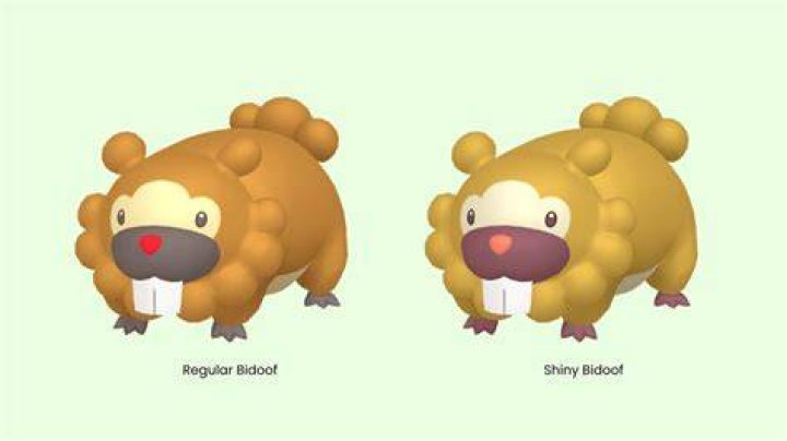 Can Bidoof be Shiny Pokemon go?