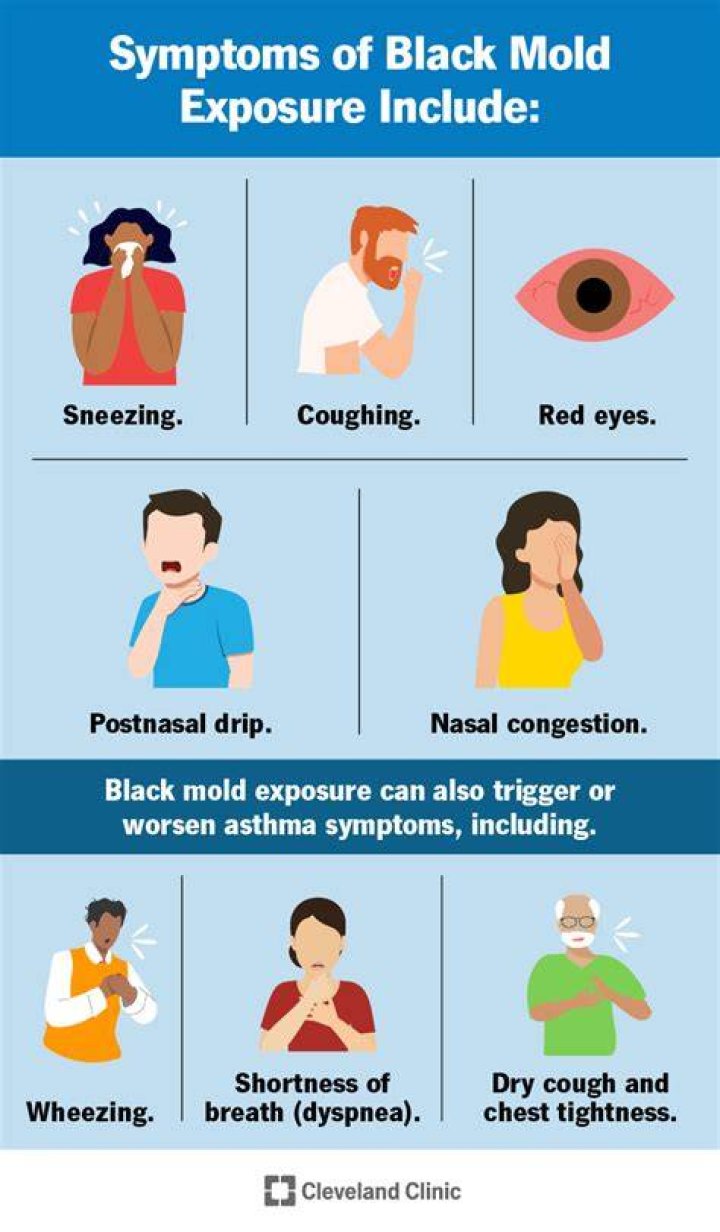 Can black mold make you sick right away?