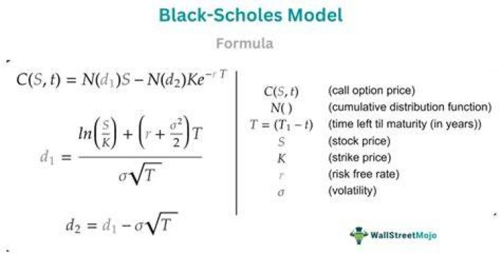 Can Black-Scholes formula be used in pricing executive stock options?