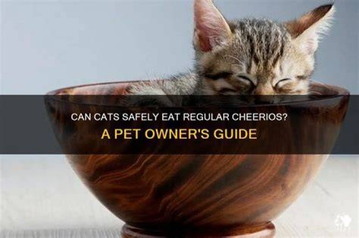 Can cats eat Cheerios as a treat?