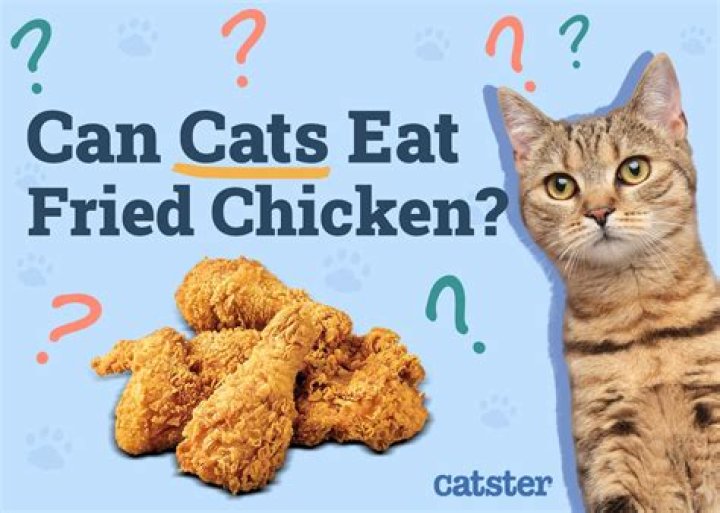Can cats eat chicken?