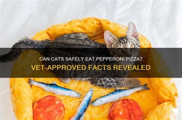 Can cats eat pepperoni pizza?
