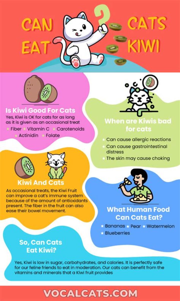 Can cats have Kiwi?