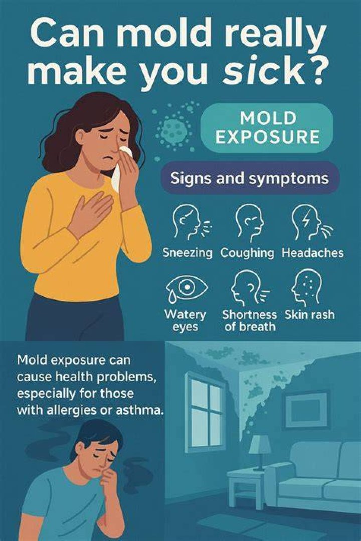 Can cleaning mold make you sick?