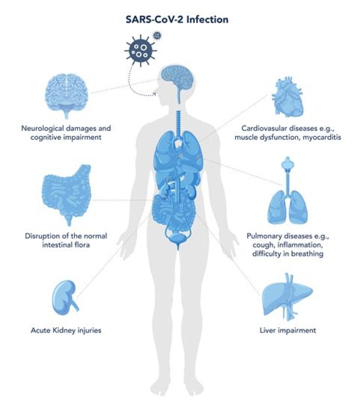 Can Covid affect kidneys?
