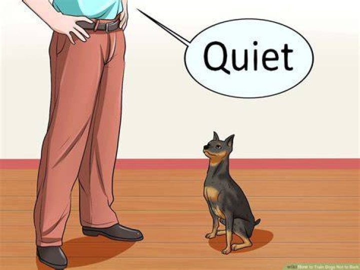 Can dogs be trained not to bark?