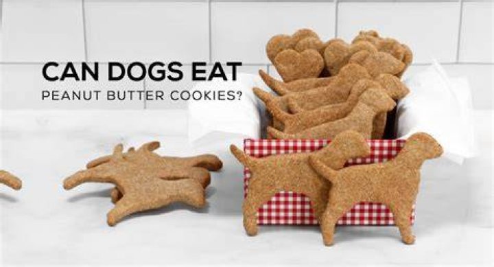 Can dogs eat peanut butter cookies?