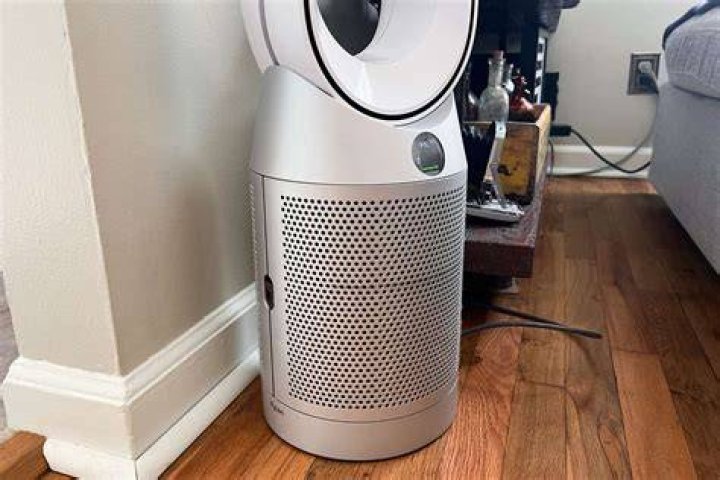 Can Dyson remove VOC?