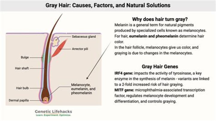 Can eggs cause GREY hair?