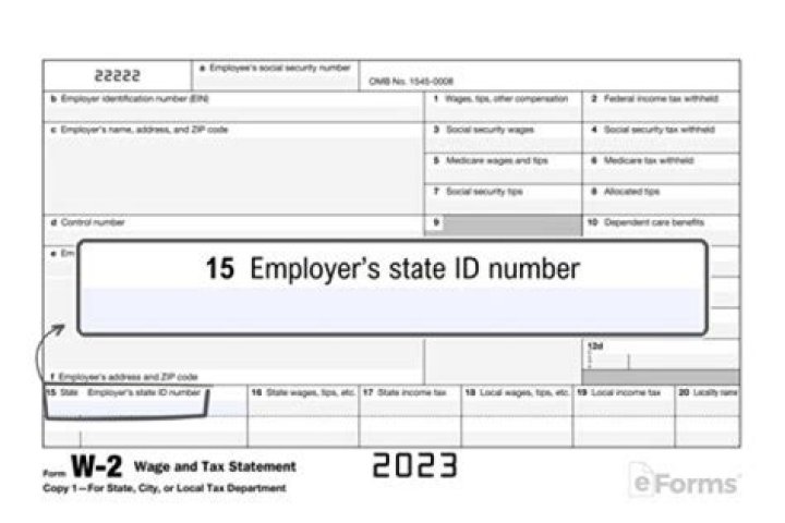 Can employers see your W-2?