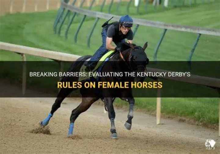 Can female horses race in the Kentucky Derby?