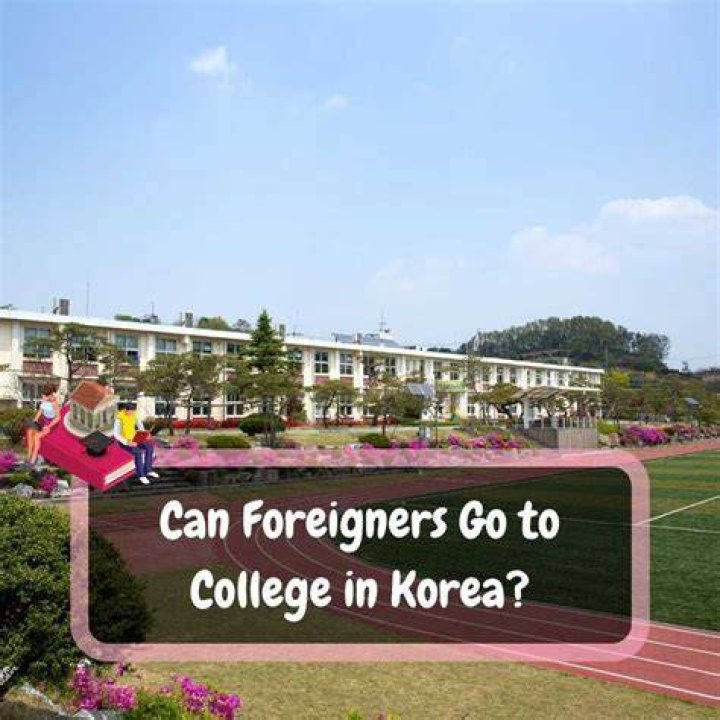 Can foreigners go to college in America?