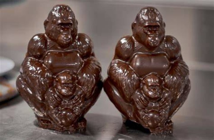 Can gorillas eat chocolate?