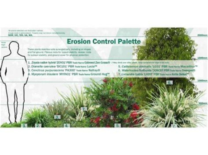 Can Grisha control plants?