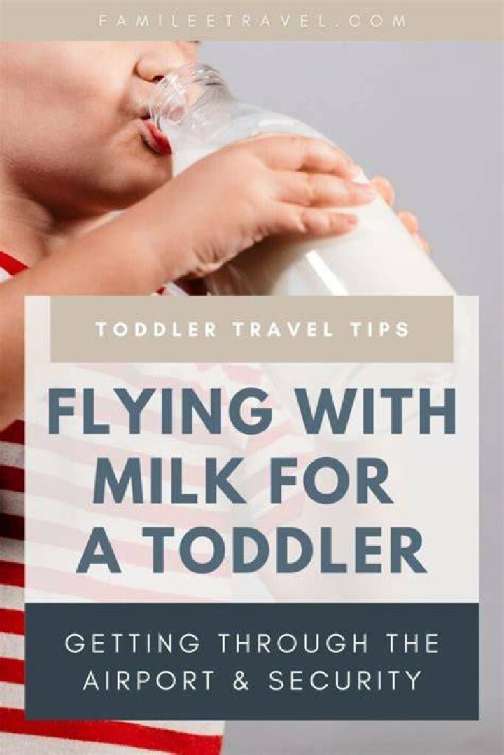 Can I bring milk on a plane for my toddler?