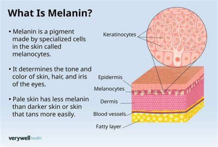 Can I buy melanin?