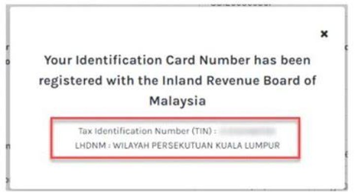 Can I check my tax file number online?