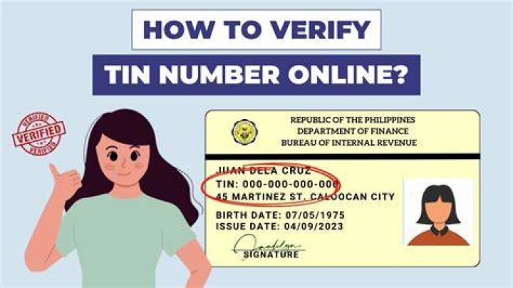 Can I check my tin number online?