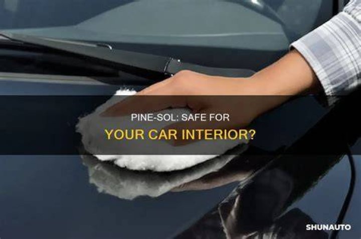 Can I clean inside of car with Pine-Sol?