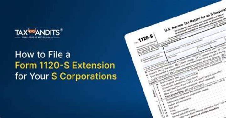 Can I file 1120S extension online?