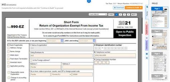 Can I file a 990-EZ online?