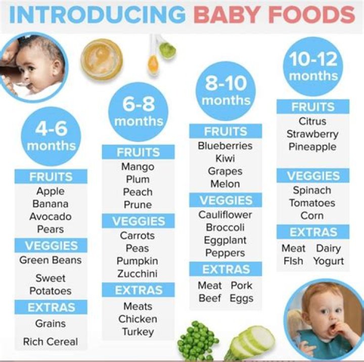 Can I give my 4 month old baby applesauce?