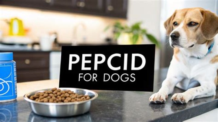 Can I give my dog Pepcid everyday?