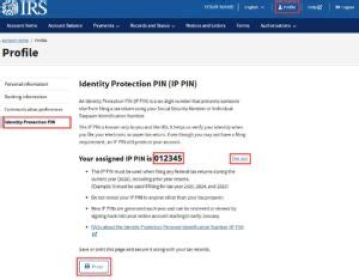 Can I go to the IRS office to get my IP PIN?