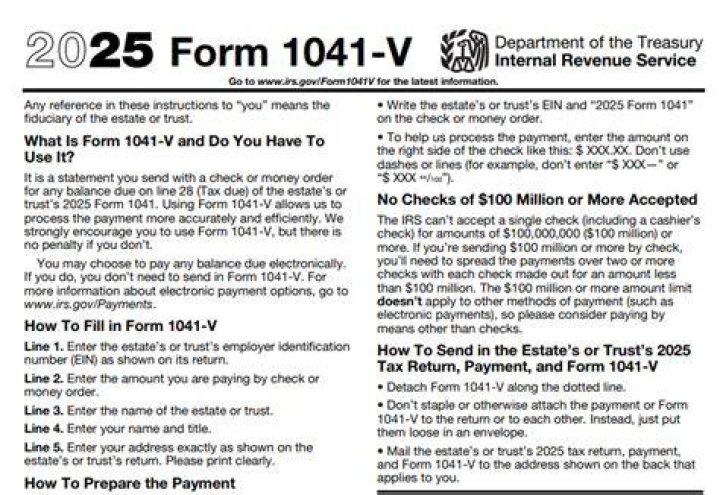 Can I pay my 1041 V online?