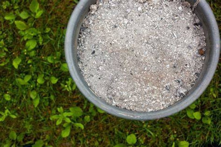 Can I put fireplace ashes on my lawn?