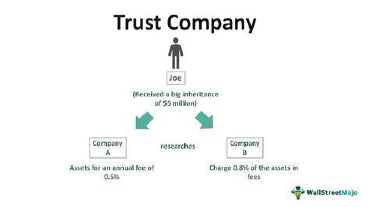 Can I put my business in a trust?