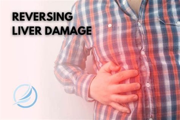 Can I reverse liver damage?